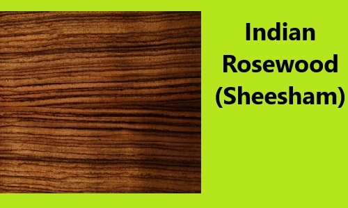 Indian Rosewood