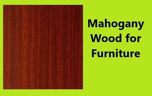 Mahogany