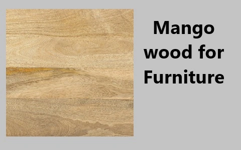 Mango Wood