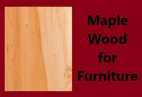 Maple Wood