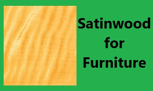 Satinwood