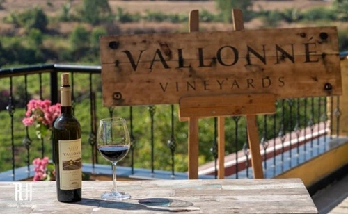 Vallonne Vineyards