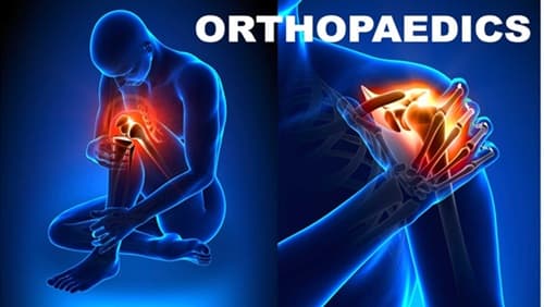 Orthopaedic 